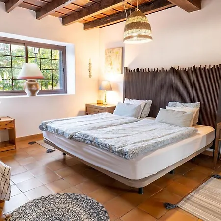 Pradera De Melo Heated Pool On Request-wifi-bbq * Los Realejos